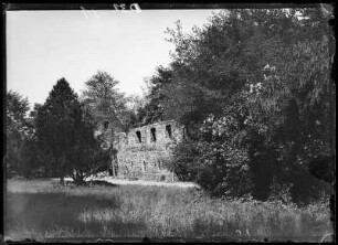 Klosterruine Nimbschen