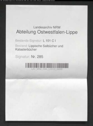 Salbuch der ehem. Vogtei Langenholzhausen von 1858, Bd. 3 (Duplikat)