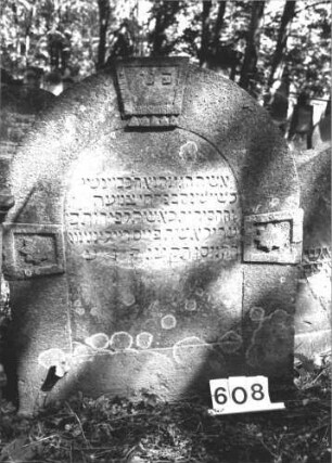 Grabstein 608