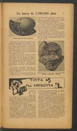 Un huevo de 2700000 años