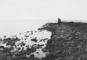 Instandsetzung Buhnen in Wangerooge/Nordsee