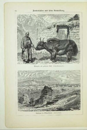 Mongole mit zahmem Nak