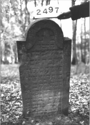 Grabstein 2497