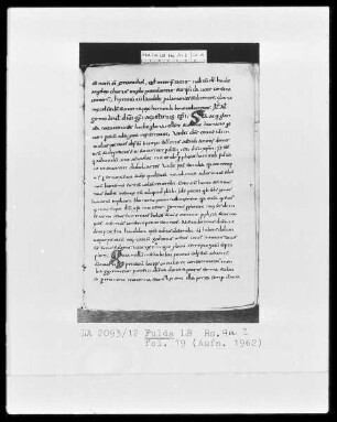 Isidor, Alkuin, Rhabanus Maurus und andere — Initialen S und Q, Folio 19recto
