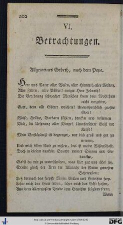 VI. Betrachtungen.