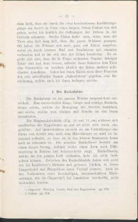 3. Die Muskulatur.