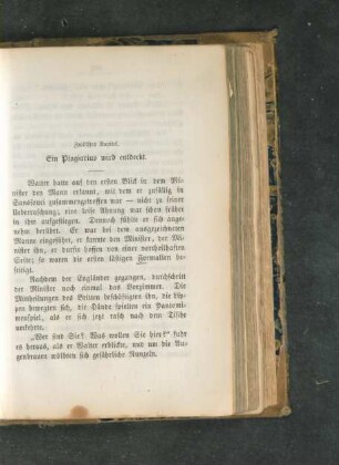 Zwölftes Kapitel. Ein Plagiarius wird entdeckt.