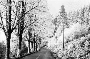 Mühlingen: B 315 im Raureif