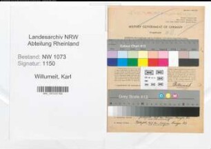 Entnazifizierung Karl Willumeit , geb. 14.03.1896 (Arbeiter)