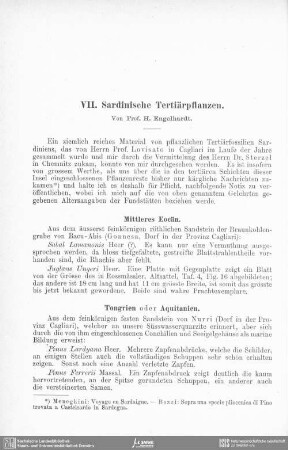 Sardinische Tertiärpflanzen