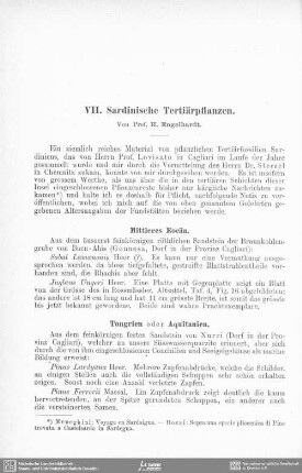 Sardinische Tertiärpflanzen