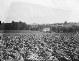 Erlau-Kleinmilkau, Blick Richtung Kleinmilkau : Erlau-Kleinmilkau. Blick von Großmilkau Richtung Kleinmilkau. Im Tal die Funkenmühle (ehemals Kleinmilkauer Mühle)
