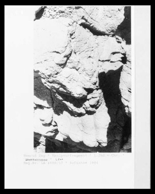 Körperfragment einer Löwenfigur
