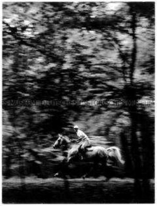 Pferd und Reiter in der Bewegung im Wald (Altersgruppe 18-21)