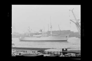 Bremerhaven (1955), Frachtschiff (reefer), Scipio & Co., Bremen, Bau-Nr. 849