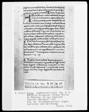 Antonius Minutius, Petrus Baldus de Ubaldis, De usu feudorum — Initiale A (gricultores), Folio 60 recto