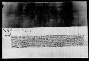 Der Hofrichter zu Rottweil beurkundet, daß vor ihm Agnes Herwigin, Bürgerin zu Herrenberg, all ihr Gut Irmel Bägin, der Frau Hans Staymers d. J. von Herrenberg, vermacht hat.