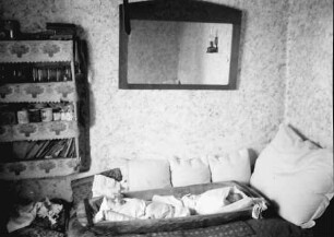 Bukarest: Institut für Ausbildung von Fürsorgeschwestern, Zwei Babys im Waschtrog, mit Zimmer