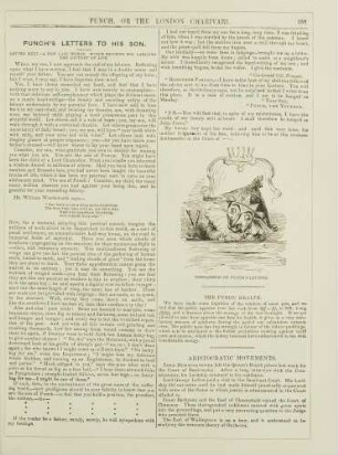 Conclusion of Punch's letters