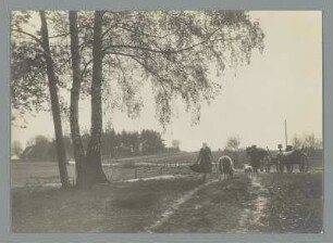 In der Lausitz