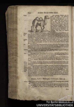 Cap. 35. Bieber, Castor. Biebergeil, Castorcum.