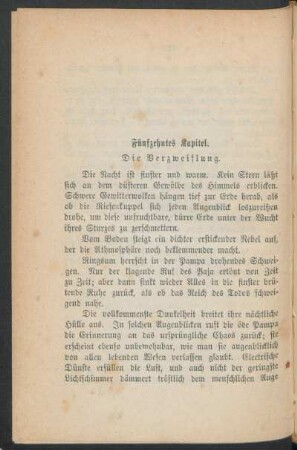 Fünfzehntes Kapitel. - Die Verzweiflung.