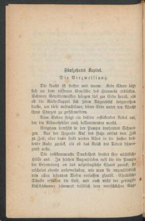 Fünfzehntes Kapitel. - Die Verzweiflung.