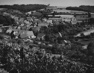 Archivfotografie "kraichgau_tairnbach_5072"