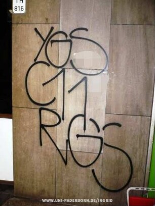 YGS C11 RGS