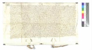 Verkauf des oberen Weihers zu Steinberg durch die Grafen von Kirchberg an Kloster Wiblingen