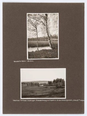 Referenzmappe 3/17 des Fotografen Walter Möbius : Mappenblatt 88 mit zwei Fotografien (Neudorfer Moor (Flachmoor) bei Wittichenau und Dubringer Grauwackenzug mit den Halden der Braunkohlengrube "Klara 3")