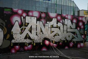 ANGUS