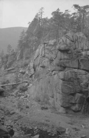 Okertal: Löwenkuppe im Okertal
