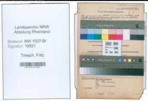 Entnazifizierung Fritz Triesch , geb. 07.09.1902 (Lehrer)