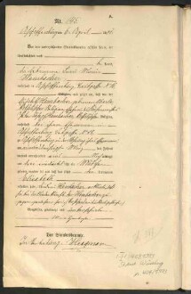 Standesamtsbuch der Stadt Aschaffenburg: Geburten 365/1900 - 184/1901