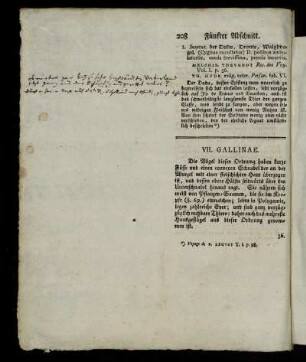 VII. Gallinae