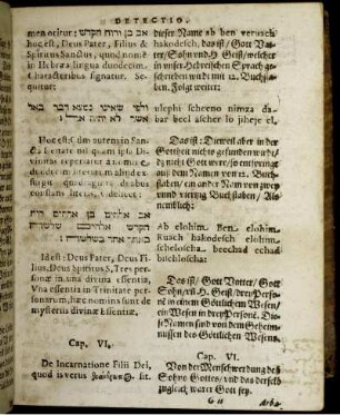 Cap. VI. De Incernatione Filii Dei, quod is verus theanthropos sit. Cap. VI. Von der Menschwerdung deß Sohns Gottes/ und das derselb zugleich warer Gott sey.
