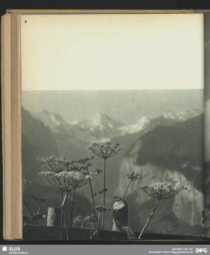Blick ins Lauterbrunner Tal