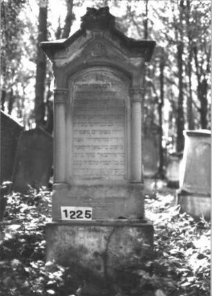 Grabstein 1225 (Index: 99900007) Material: Sandsteiin Zustand: stellenweise verwittert Maße HxBxT: 177x70x31 cm Beschreibung: aufgesockelte Stele mit eingezogenem, oben abgeflachten Dreiecksabschluss, Verdachung mit Giebelakroter (Voluten), im Giebelfeld Dreipass, seitlich Säulen mit Blattkapitellen Symbolik: Voluten, Blätter: Grabstein 1225