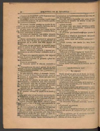 Capítulo XV - La captura