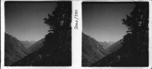 Blick ins Berner Oberland