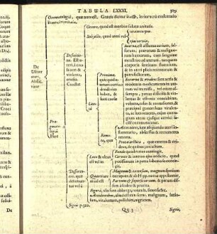 Tabula LXXXI.