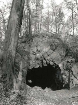 Moritzburg. Hohe Burg. Tunnel im Jagdforst (Neuer Tiergarten)