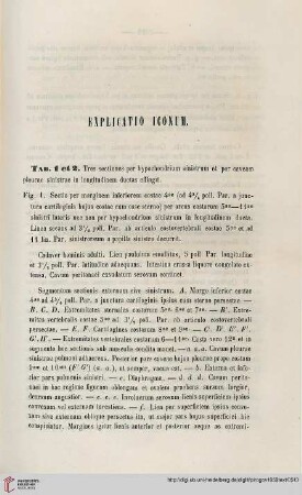 Explicatio iconum