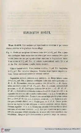 Explicatio iconum