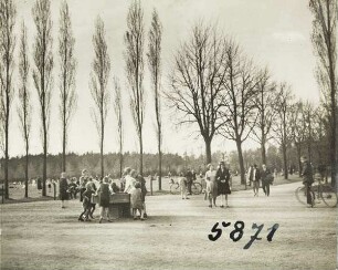 Altona-Bahrenfeld: Blick vom Pappelrondeel auf die Spielwiese im Volkspark