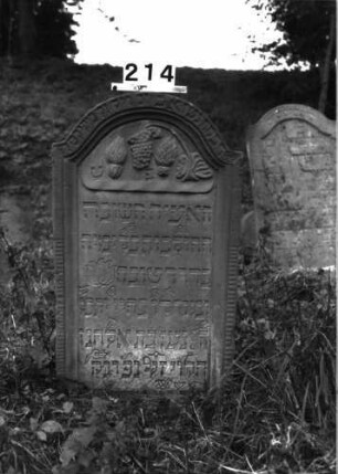 Grabstein 214