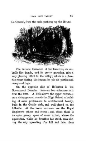 FERN TREE VALLEY