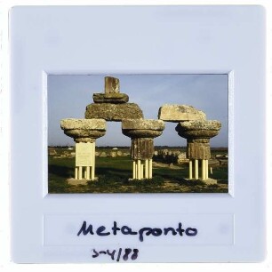 Metaponto, Säulenreste,Metaponto, Ruinenfeld