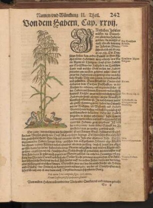 Von dem Habern, Cap. XXVII